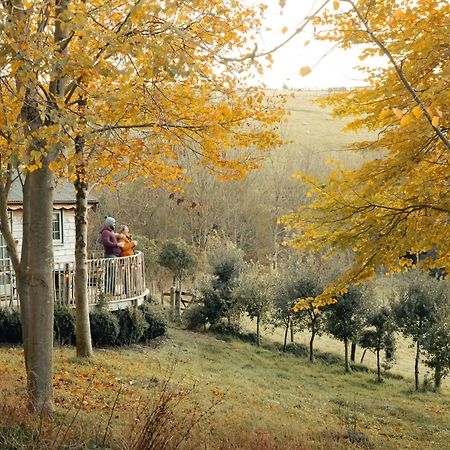 Cottage Orne Long Bredy Dış mekan fotoğraf
